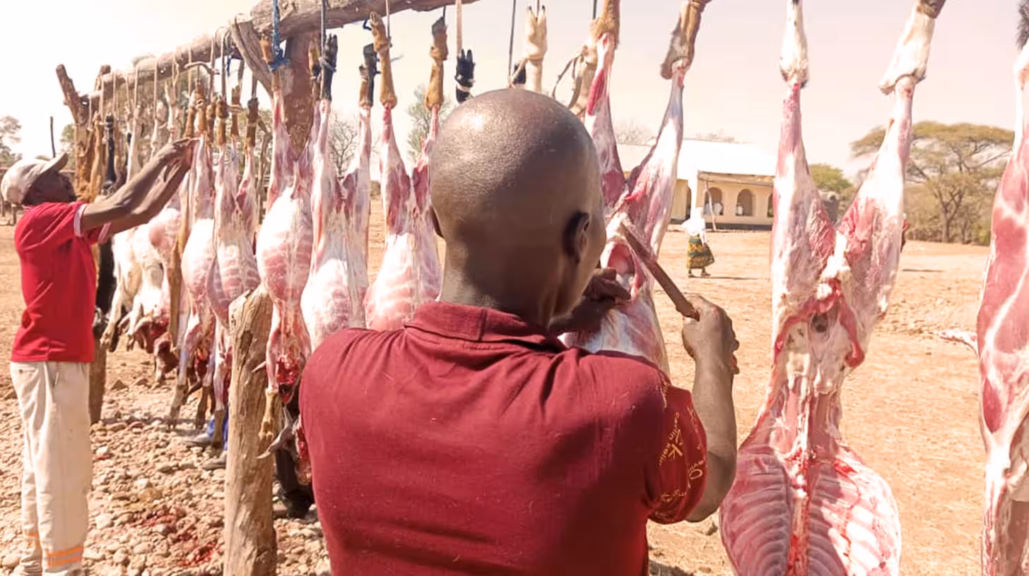 Seasonal initiatives provide essential support during critical times, including the supply of sacrifices, clothing, blankets, and educational materials. Coordinated efforts with specialized partners ensure efficient delivery during peak seasons. This approach alleviates hardships for the most vulnerable populations.